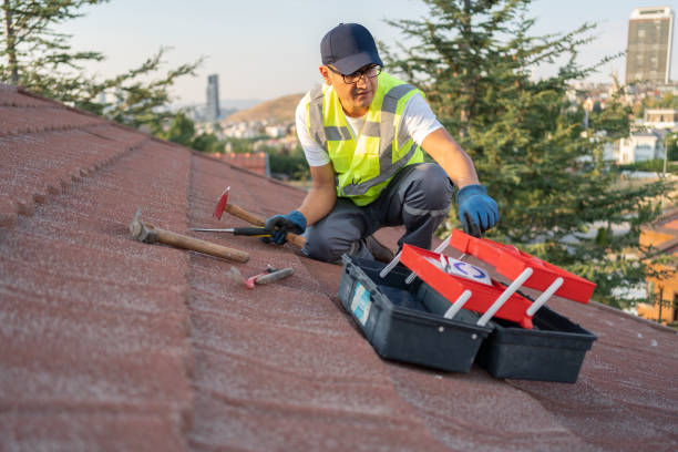 Best Historical Building Siding Restoration  in Kermit, TX